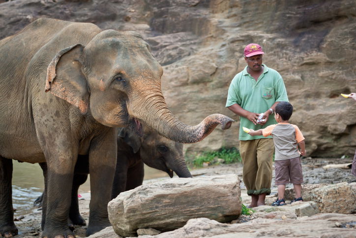 תיעוד מרהיב: סרי לנקה האסייתית