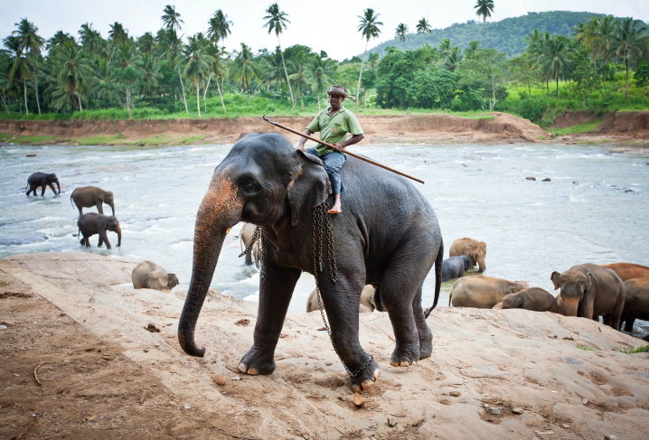 תיעוד מרהיב: סרי לנקה האסייתית