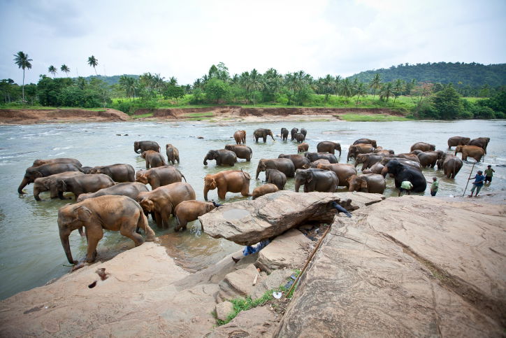 תיעוד מרהיב: סרי לנקה האסייתית