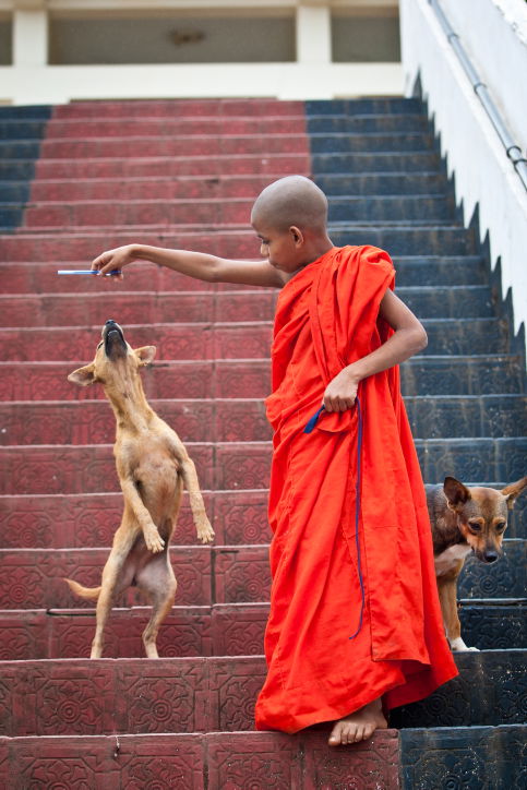 תיעוד מרהיב: סרי לנקה האסייתית