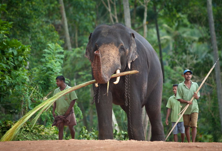 תיעוד מרהיב: סרי לנקה האסייתית
