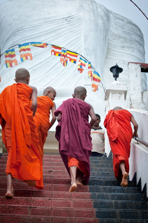 תיעוד מרהיב: סרי לנקה האסייתית