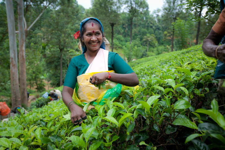 תיעוד מרהיב: סרי לנקה האסייתית