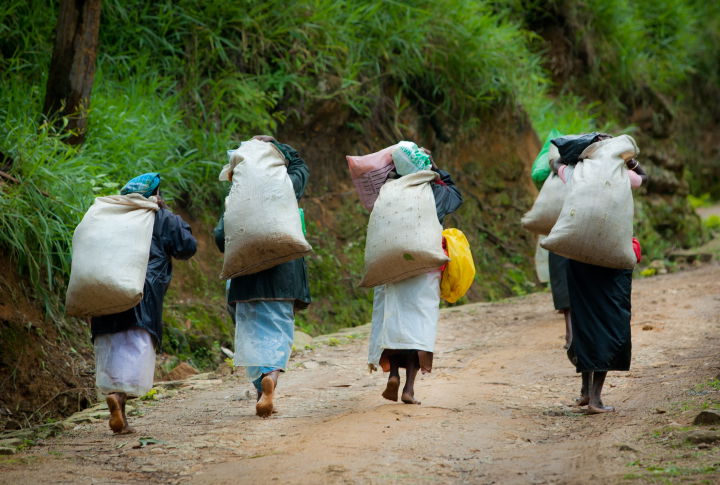 תיעוד מרהיב: סרי לנקה האסייתית