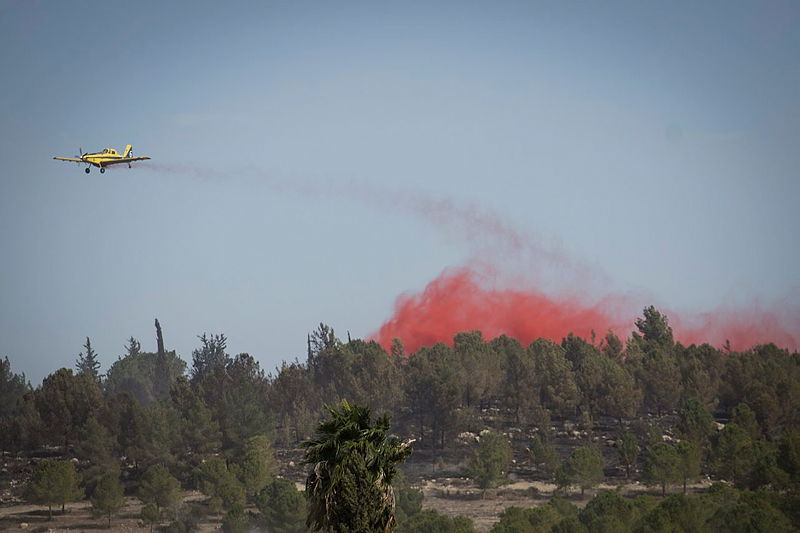 תושבים חזרו לבתים שעלו באש: "הכל נשרף"; חשש מביזה