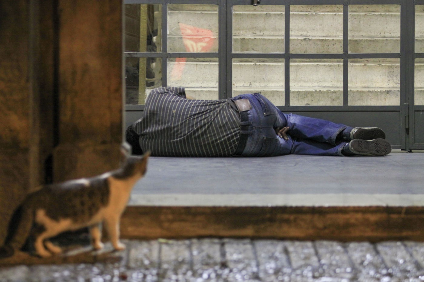 הומלס. אילוסטרציה