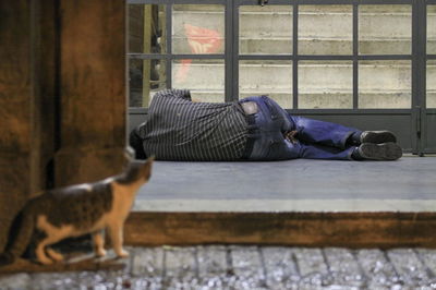 הומלס. אילוסטרציה