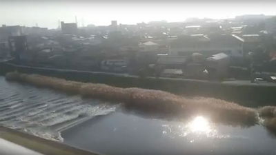 גלי צונאמי מתפשטים