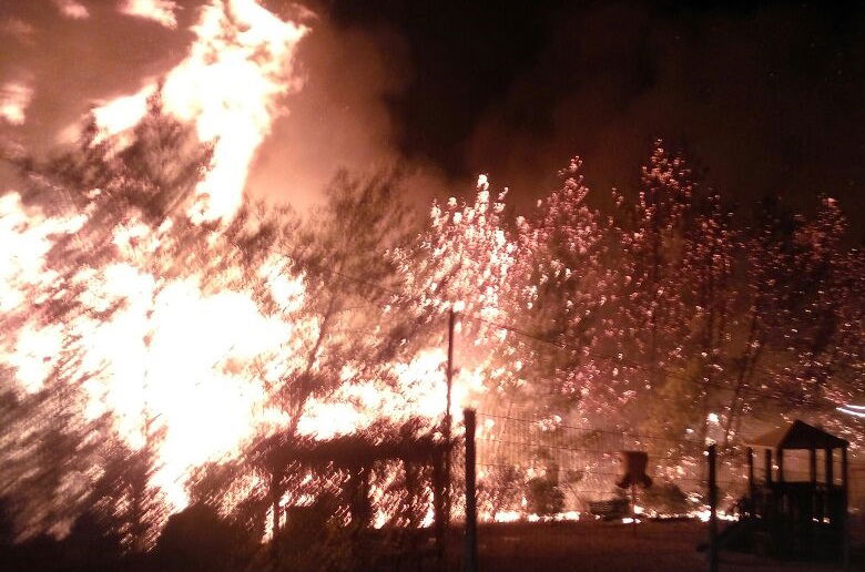 השריפה בדולב