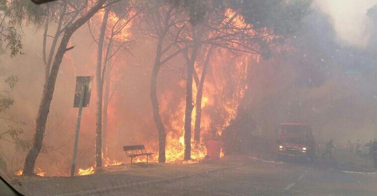 השריפה בשער הגיא מתקרבת לתחנת דלק