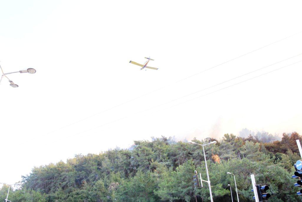 השריפה הגדולה בחיפה • תיעוד ענק