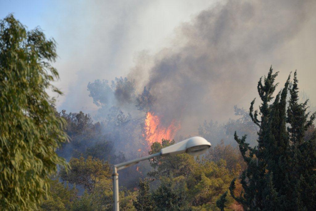 השריפה הגדולה בחיפה • תיעוד ענק
