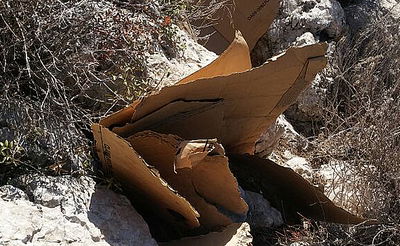 תלמידי ישיבה בחיפה תפסו מוקד הצתה