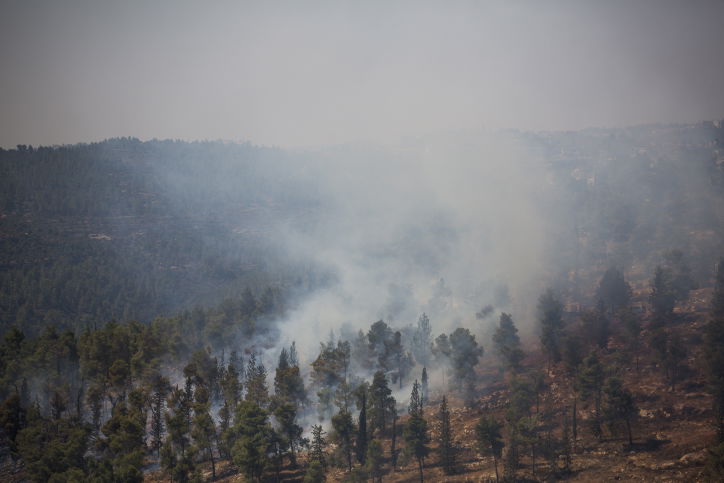 חומות האש, מטוסי הכיבוי והבתים השרופים | גלריה