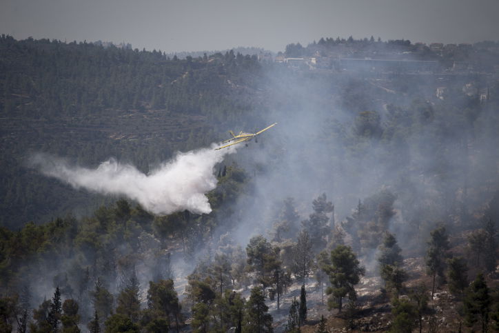 חומות האש, מטוסי הכיבוי והבתים השרופים | גלריה