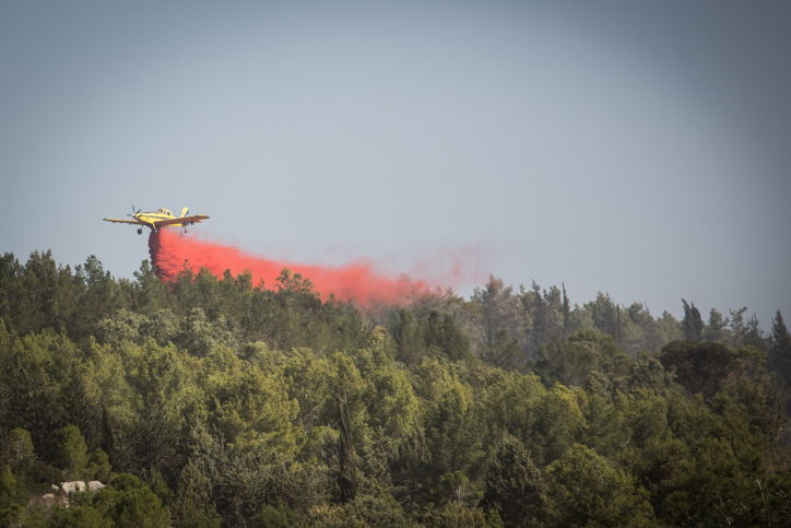 חומות האש, מטוסי הכיבוי והבתים השרופים | גלריה