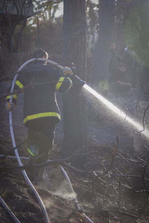 חומות האש, מטוסי הכיבוי והבתים השרופים | גלריה
