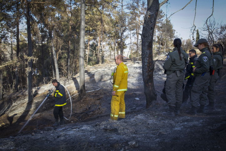 חומות האש, מטוסי הכיבוי והבתים השרופים | גלריה