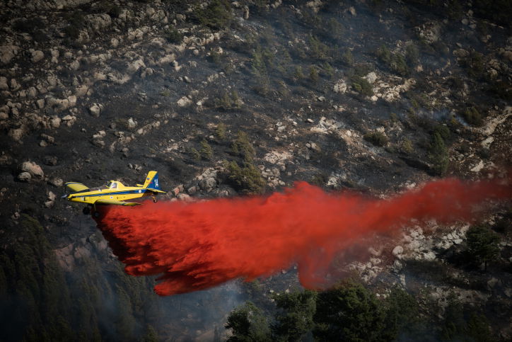 חומות האש, מטוסי הכיבוי והבתים השרופים | גלריה