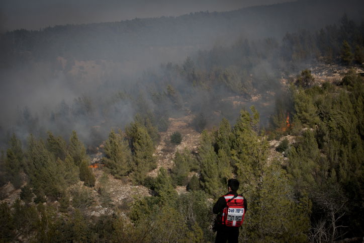 חומות האש, מטוסי הכיבוי והבתים השרופים | גלריה