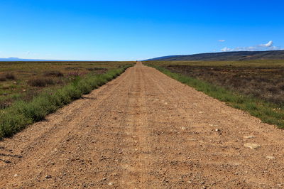 לצמוח מתוך העפר / הרב ישראל אסולין