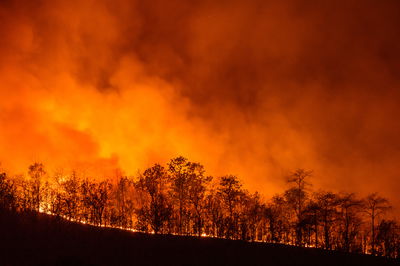אילוסטרציה