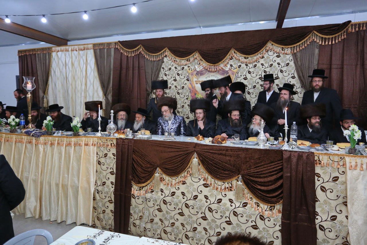 תיעוד: שבע ברכות בחצרות שאץ-דרהביטש וביטשקוב