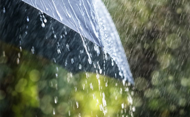 החל ממחר: מערכת חורפית משמעותית בישראל