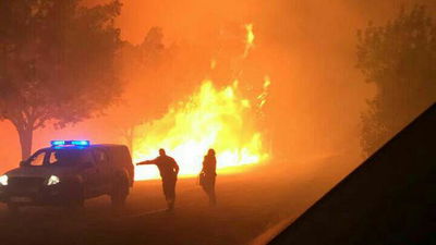השריפה בבית מאיר