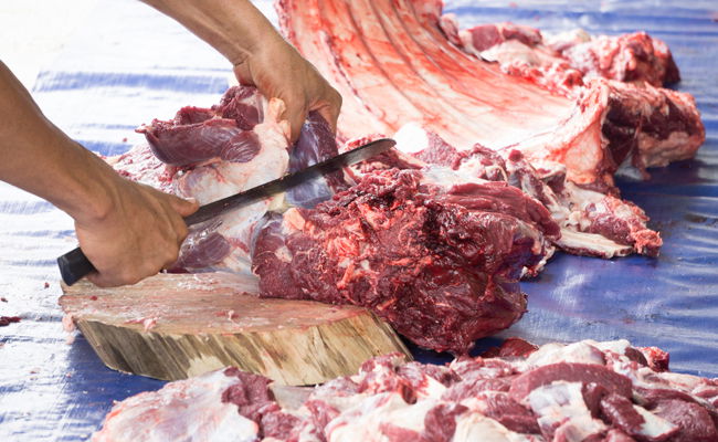 בשורה לנזקקי הרצליה: חלוקת הטריפות תיפסק