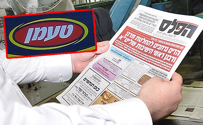 הפלס ולוגו 'טעמן'