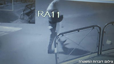 החשוד בגניבה