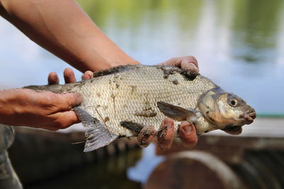 דייג אוהב דגים? // הרב עמיהוד סלומון