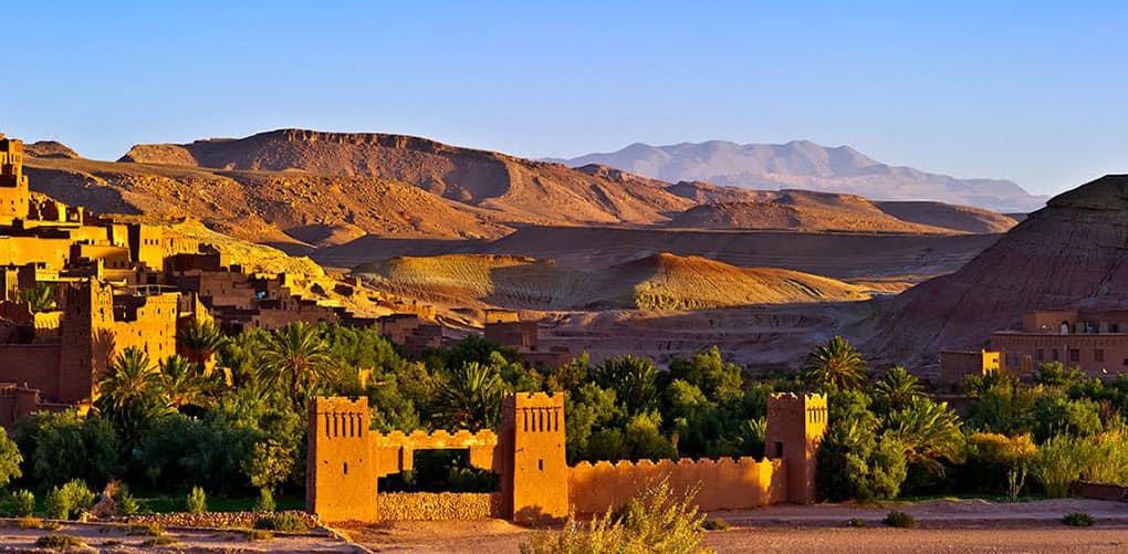 מתכון לפסטייה מרוקאית - עלי סיגר במילוי עוף מתקתק ומרציפן