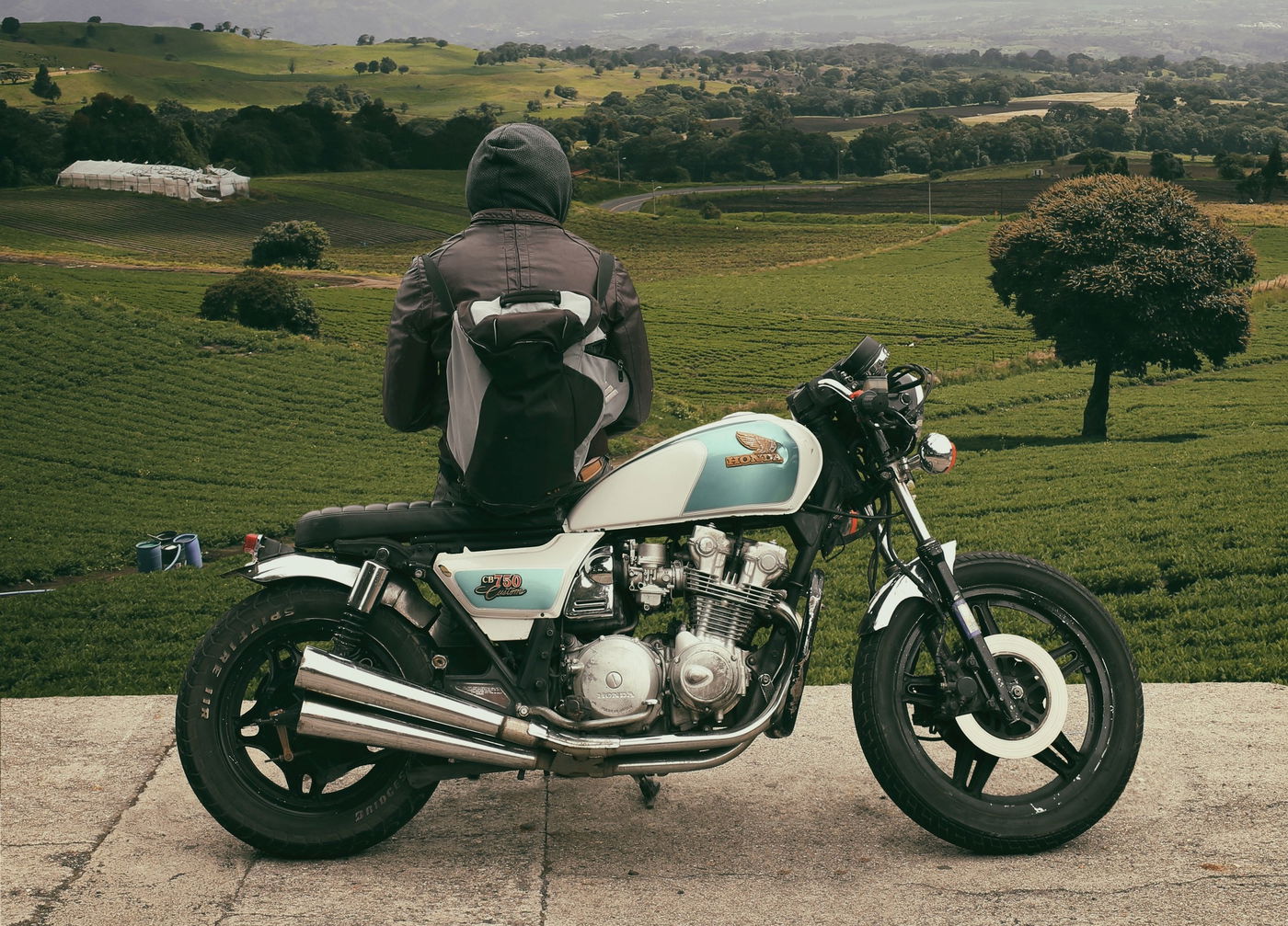 השופט החליט להימנע מהרשעת הנהג. אילוסטרציה