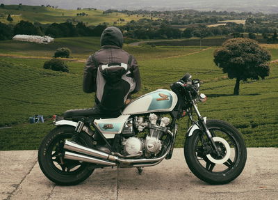 השופט החליט להימנע מהרשעת הנהג. אילוסטרציה