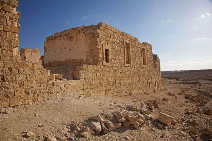 תל ניצנה - טיול לעבר דרך עדשת המצלמה