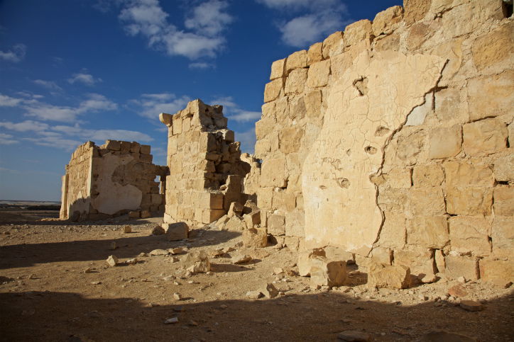 תל ניצנה - טיול לעבר דרך עדשת המצלמה