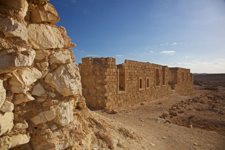 תל ניצנה - טיול לעבר דרך עדשת המצלמה