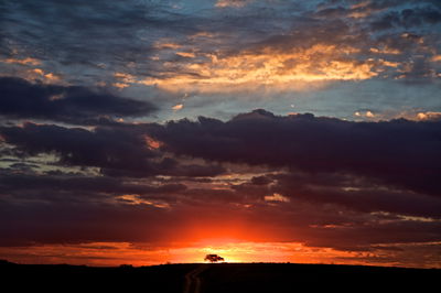 זריחה מעל נחל הבשור
