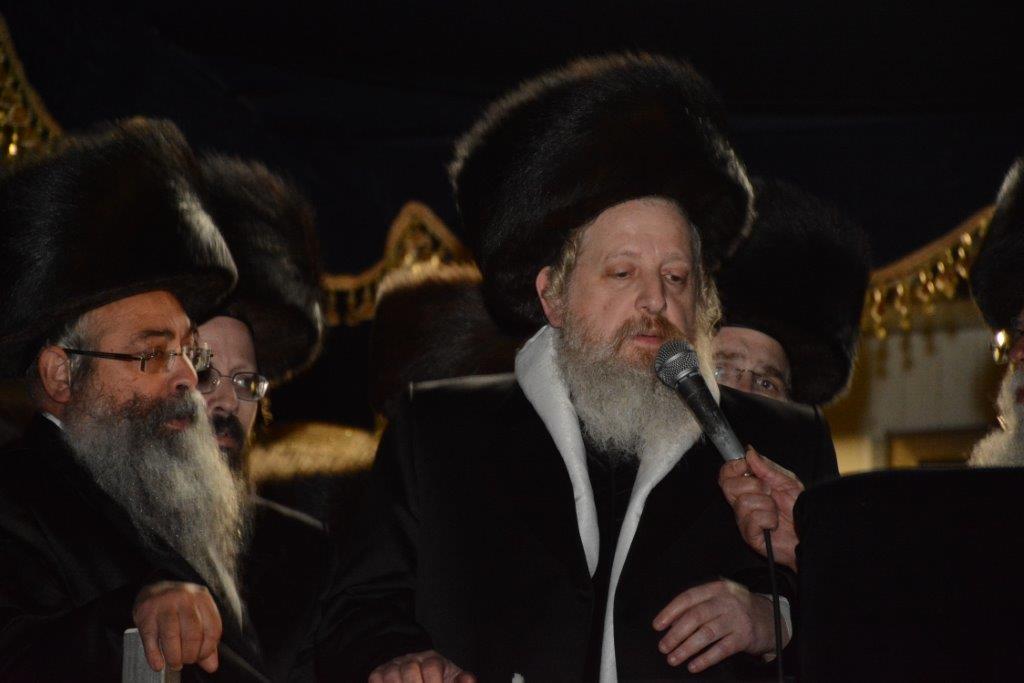 חתונת נכד האדמו"ר מדז'יקוב | גלריה