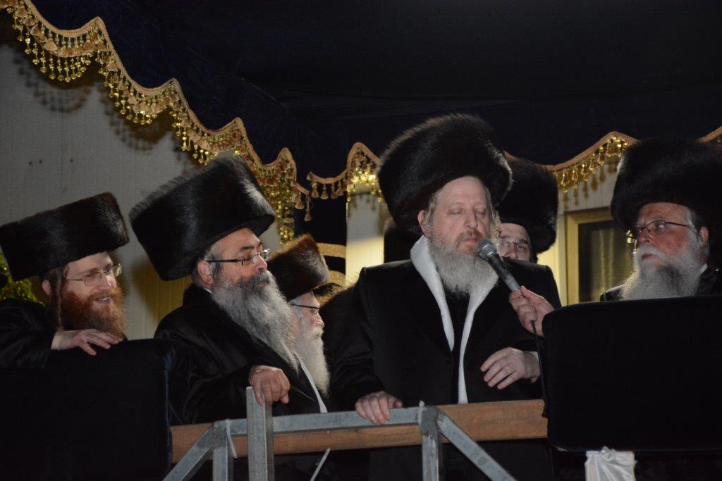 חתונת נכד האדמו"ר מדז'יקוב | גלריה