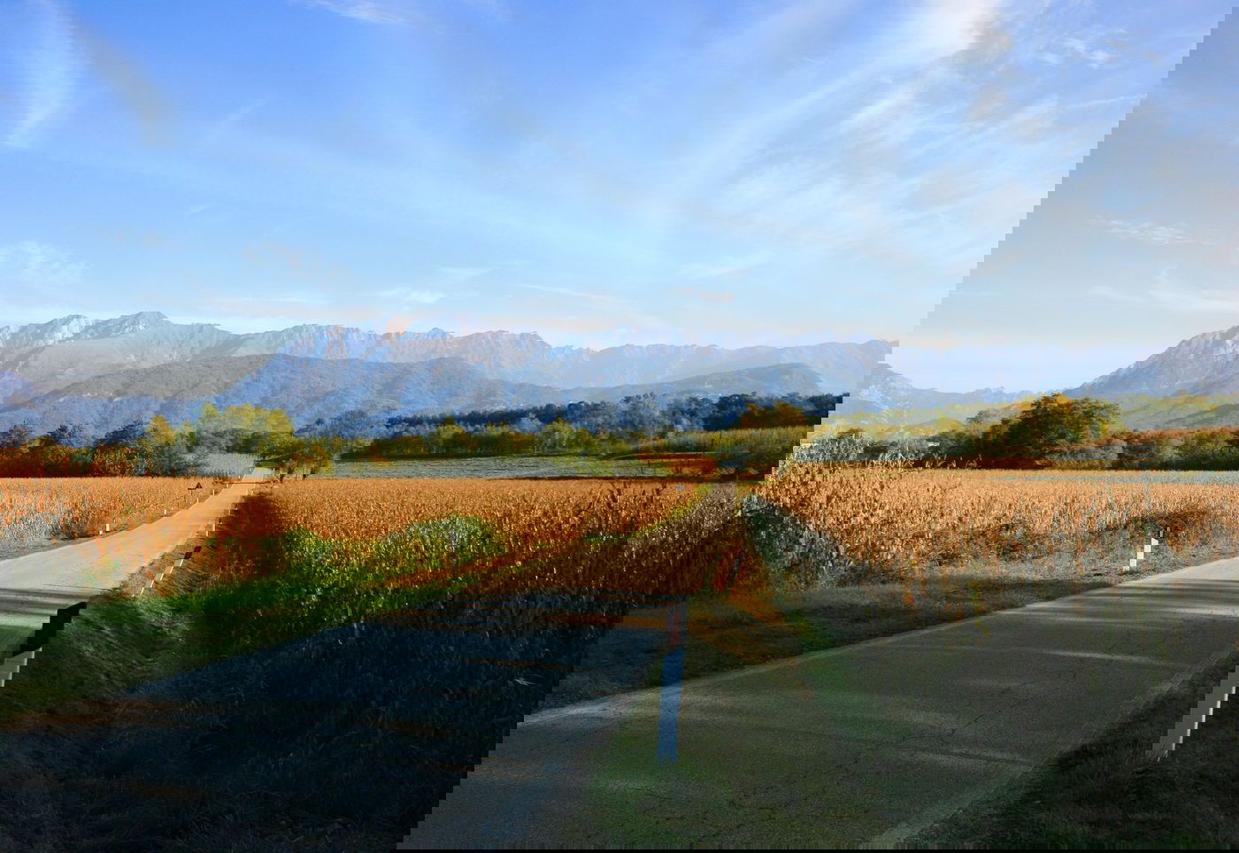 האם ניתן לצאת מהשותפות ולחלק את המגרש? אילוסטרציה