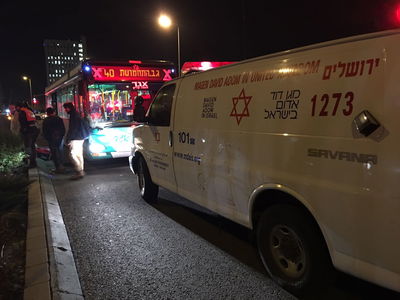 הכוחות בזירה