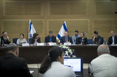 הדיון בוועדה