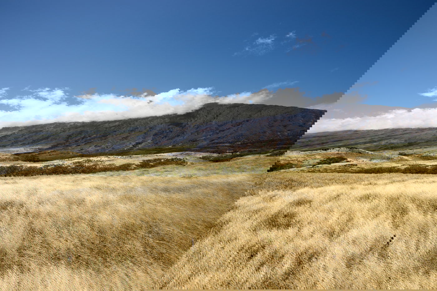 החלטת רשם ההוצל"פ בוטלה – והנחלה בבנימינה תישאר במשפחה