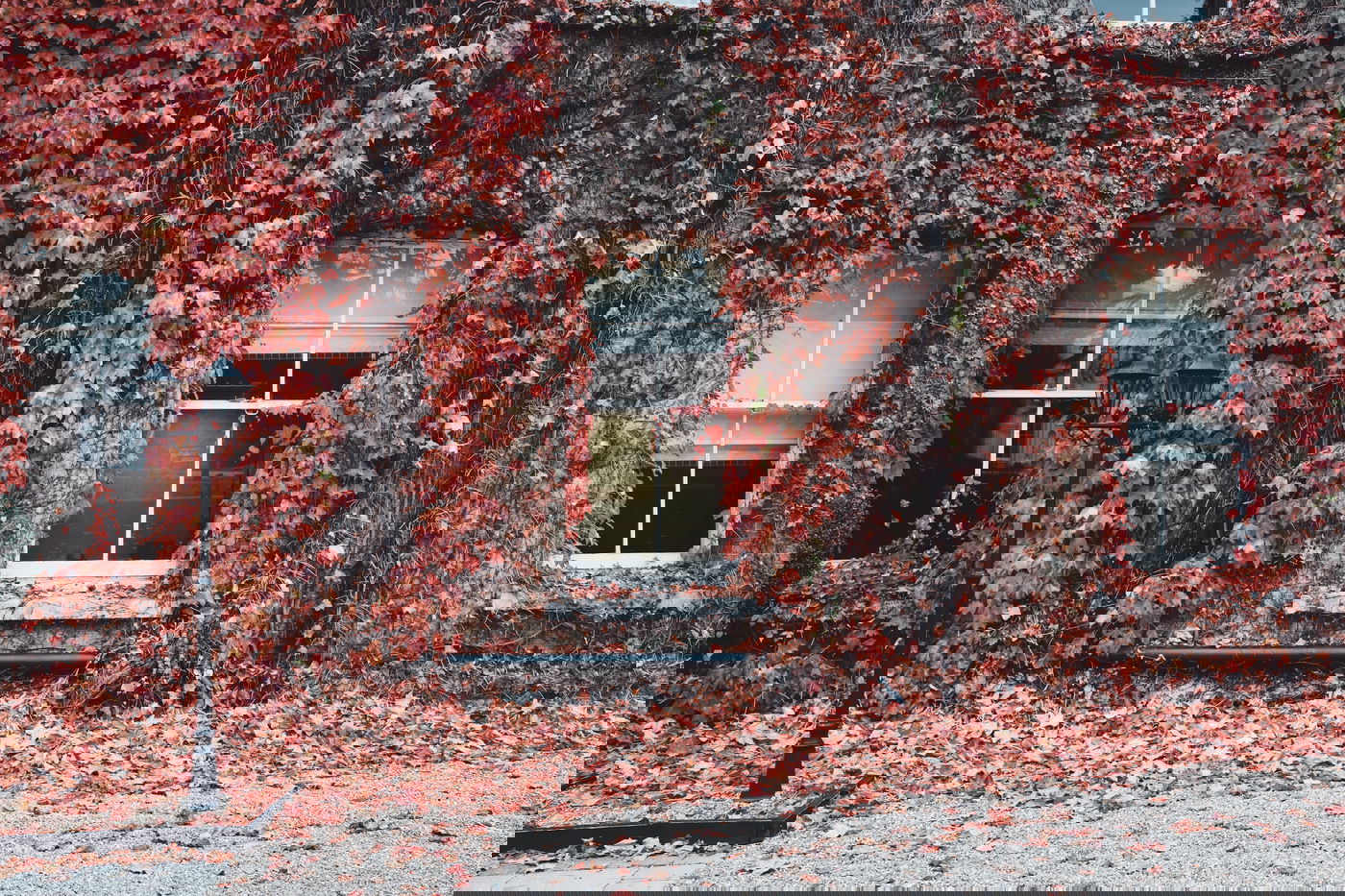 שכנות טובה -  אילוסטרציה