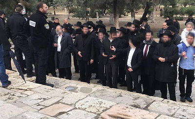 זעזוע: עשרות חרדים עלו הבוקר להר הבית | צפו בתיעוד