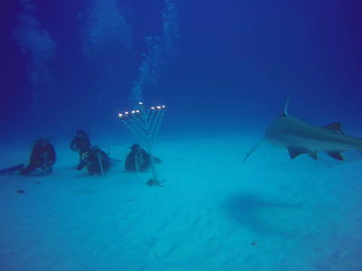 להדליק עם כרישים: נר חנוכה בים בקוזומל