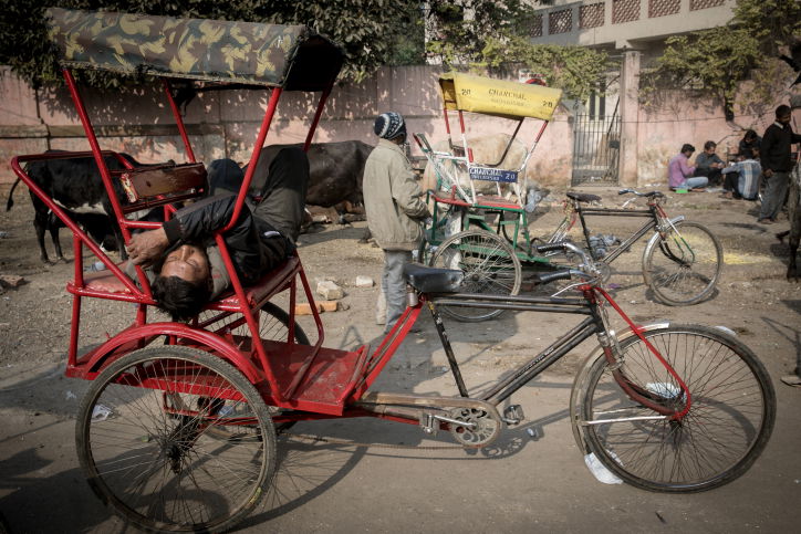 הודו: נופיה וצבעוניותה דרך עדשת  המצלמה